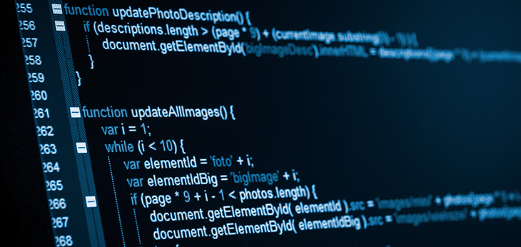 Software Developer